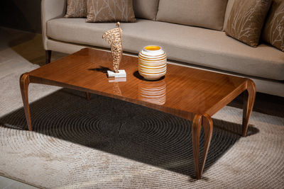 Hermes coffee table